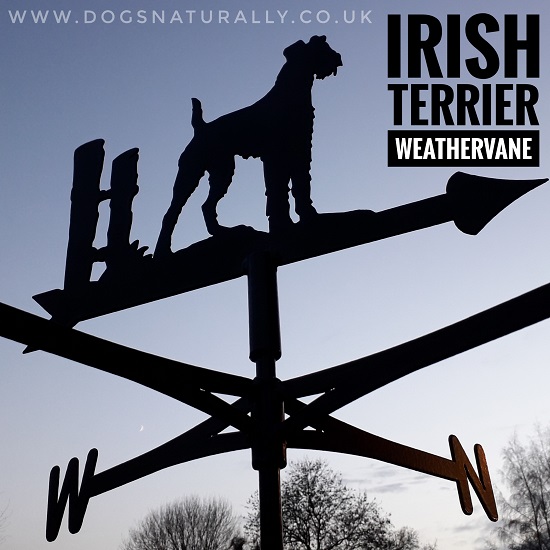 Irish Terrier Weather Vane